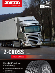 Z-CROSS Poster